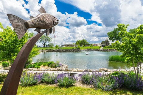 Art in Public Places fish sculpture at Ashley Pond Park